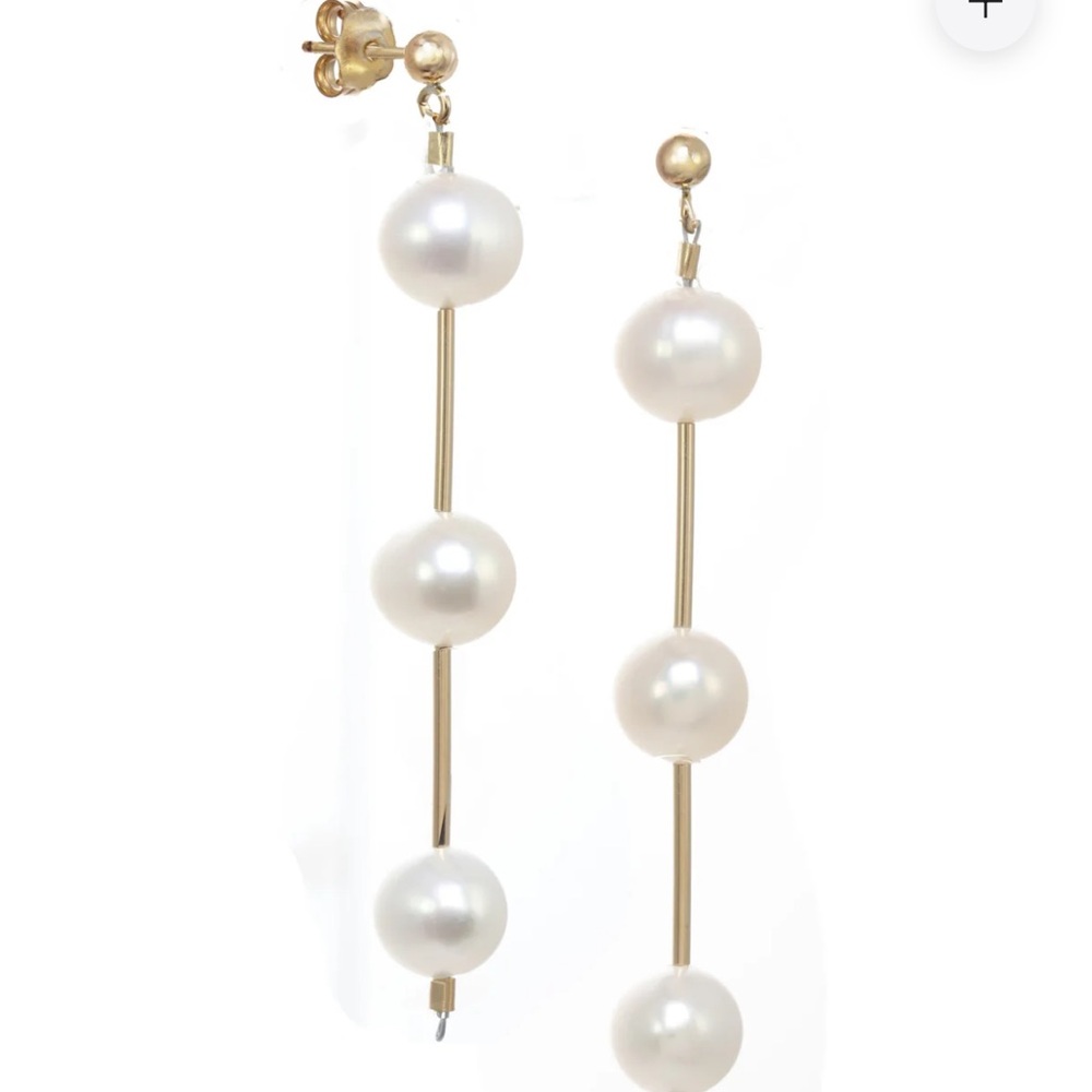 Branch new earrings